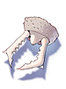 Icon of Ant Jaw