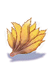 Icon of Nine Tails