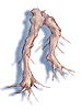 Icon of Maneater Root