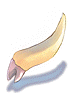 Icon of Zenorc's Fang