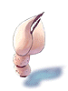 Icon of Scorpion Nipper