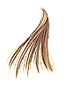 Icon of Golden Hair