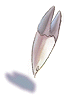 Icon of Fang