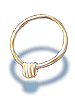 Icon of Reins