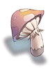 Icon of Orange Net Mushroom