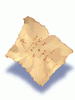 Icon of Worn Out Page