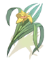 Icon of Iris