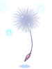 Icon of Mysterious Seed