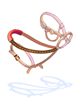 Icon of Boarding Halter (Riendas)