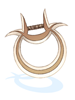 Icon of Chakram