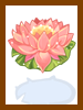 Icon of Water Lily Crown Box