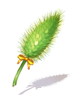 Icon of Novice Foxtail Wand