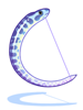 Icon of Spotty Eel