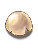 Icon of (c) Egg Shell