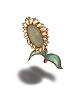 Icon of Sunflower