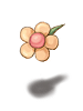 Icon of Romantic Flower
