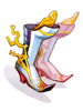Icon of Variant Shoes