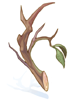Icon of Dry Twig