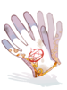 Icon of Alchemy Glove