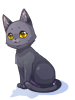 Icon of Costume Black Cat
