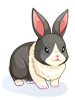 Icon of C Panda Rabbit