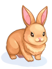 Icon of C Orange Rabbit