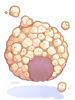 Icon of C Popcorn Wig