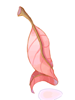 Icon of Red Herb