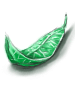 Icon of Green Herb