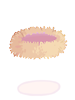 Icon of Bird Nest