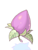 Icon of Mastela Fruit