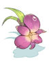 Icon of Orchid Hairband