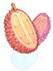 Icon of Red Prickly Fruit