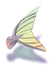 Icon of Piece of Fish