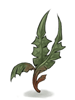 Icon of Bitter Herb