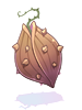 Icon of Seed Of Thorny Plant
