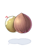Icon of Coconut Fruit