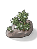 Icon of Dew Laden Moss