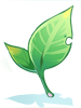 Icon of Emerald Leaf