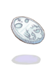 Icon of Mithril Coin