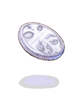 Icon of Platinum Coin