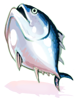 Icon of Tuna