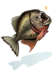 Icon of Piranha