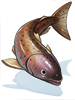 Icon of Salmon