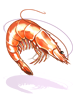 Icon of King Shrimp