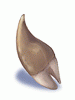 Icon of Ogre Tooth