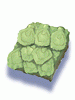 Icon of Anolian Skin