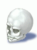 Icon of Skull
