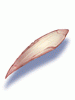 Icon of Claw of Rat