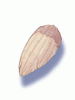 Icon of Claw of Monkey